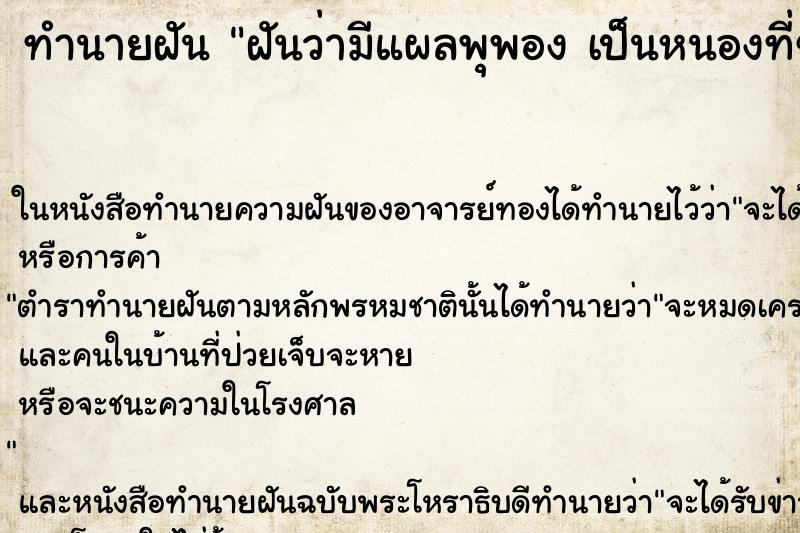 ทำนายฝัน ฝันว่ามีแผลพุพอง เป็นหนองที่ขา ตำราโบราณ แม่นที่สุดในโลก